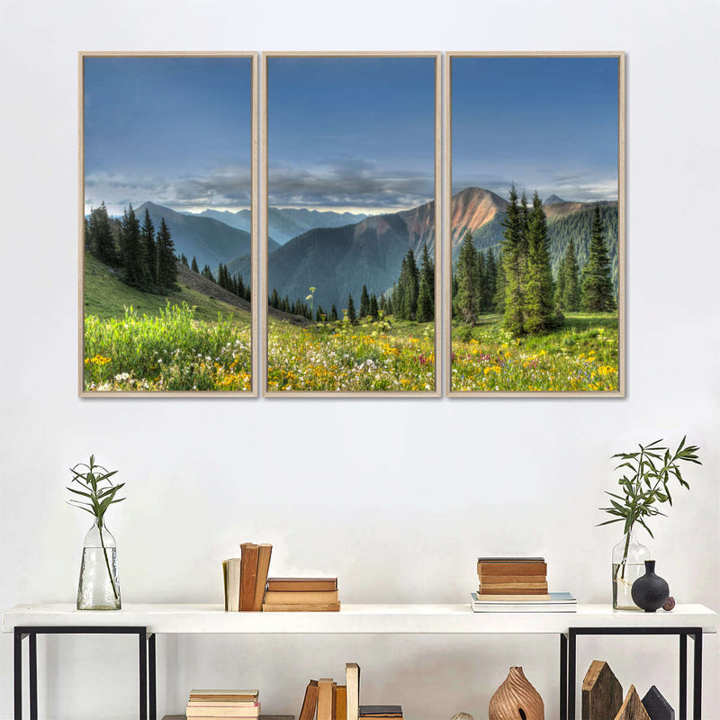 Rocky Mountain National Park Meadow Wall Art