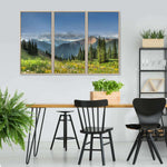 Rocky Mountain National Park Meadow Wall Art