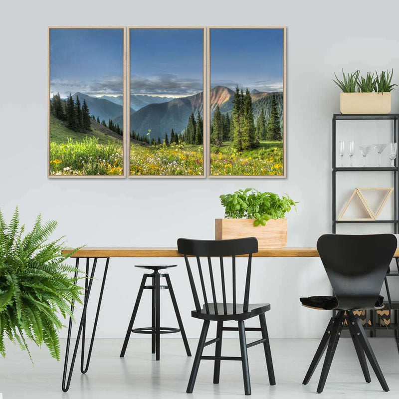 Rocky Mountain National Park Meadow Wall Art