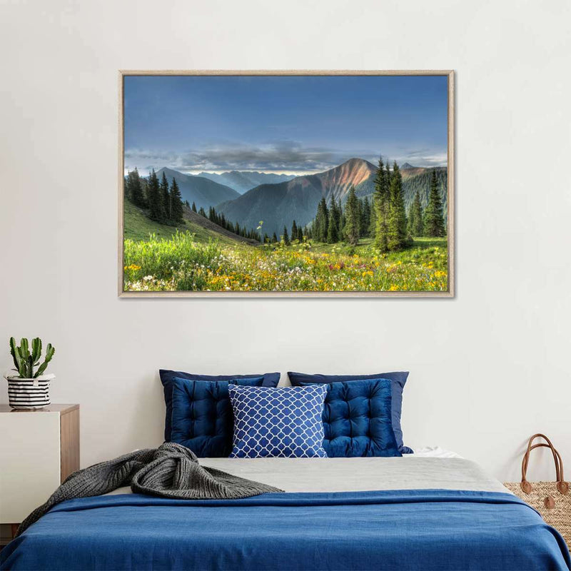 Rocky Mountain National Park Meadow Wall Art
