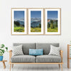 Rocky Mountain National Park Meadow Wall Art