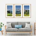 Rocky Mountain National Park Meadow Wall Art