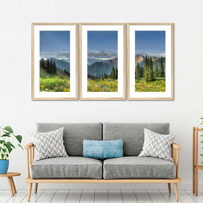 Rocky Mountain National Park Meadow Wall Art