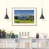 Rocky Mountain National Park Meadow Wall Art