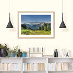 Rocky Mountain National Park Meadow Wall Art