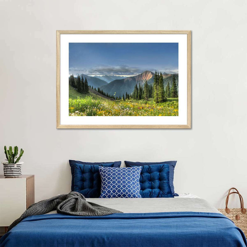 Rocky Mountain National Park Meadow Wall Art