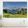 Rocky Mountain National Park Meadow Wall Art