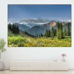 Rocky Mountain National Park Meadow Wall Art