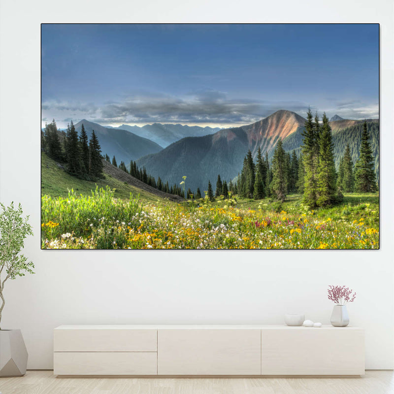 Rocky Mountain National Park Meadow Wall Art