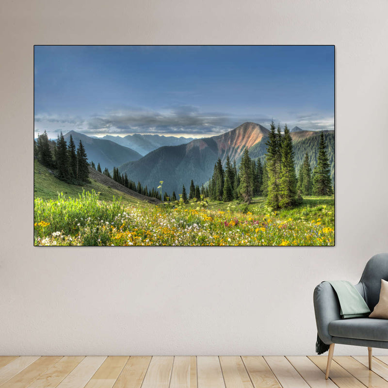 Rocky Mountain National Park Meadow Wall Art