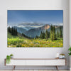Rocky Mountain National Park Meadow Wall Art
