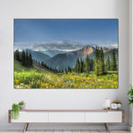 Rocky Mountain National Park Meadow Wall Art