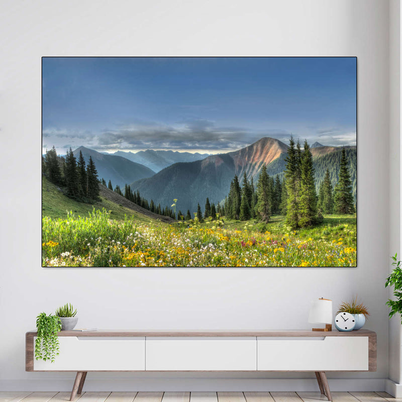Rocky Mountain National Park Meadow Wall Art