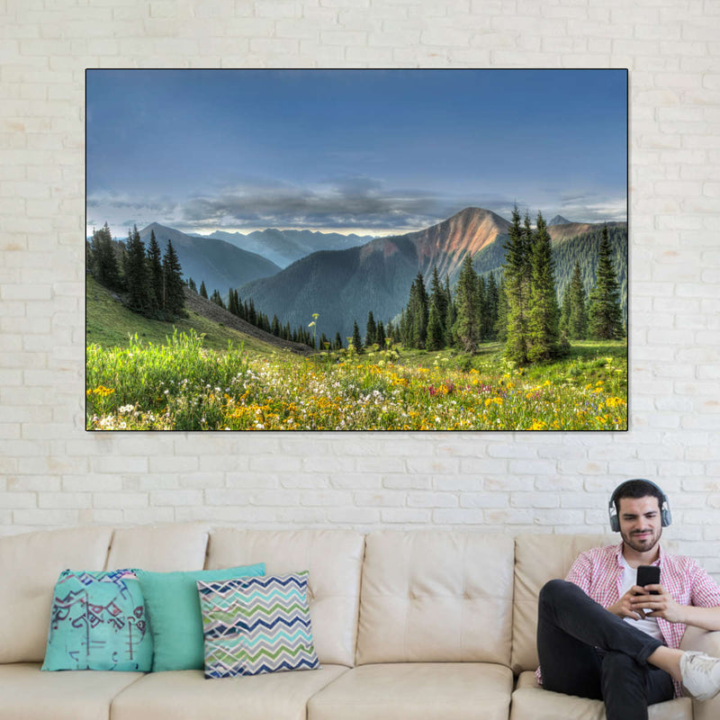 Rocky Mountain National Park Meadow Wall Art