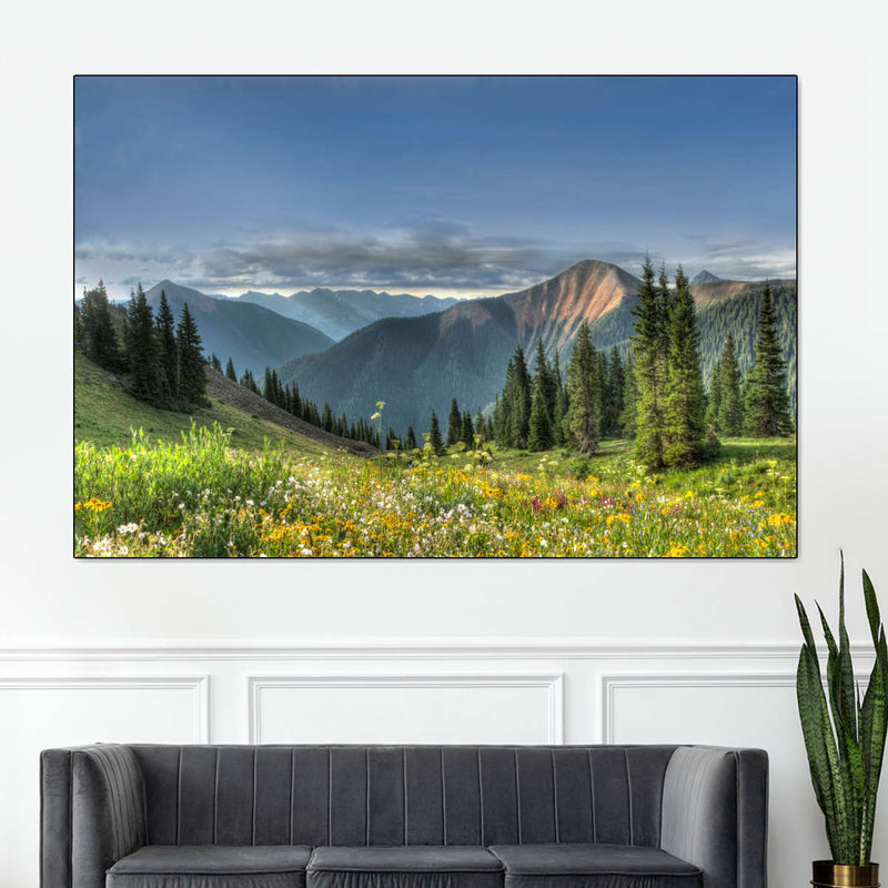 Rocky Mountain National Park Meadow Wall Art