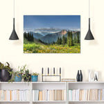 Rocky Mountain National Park Meadow Wall Art