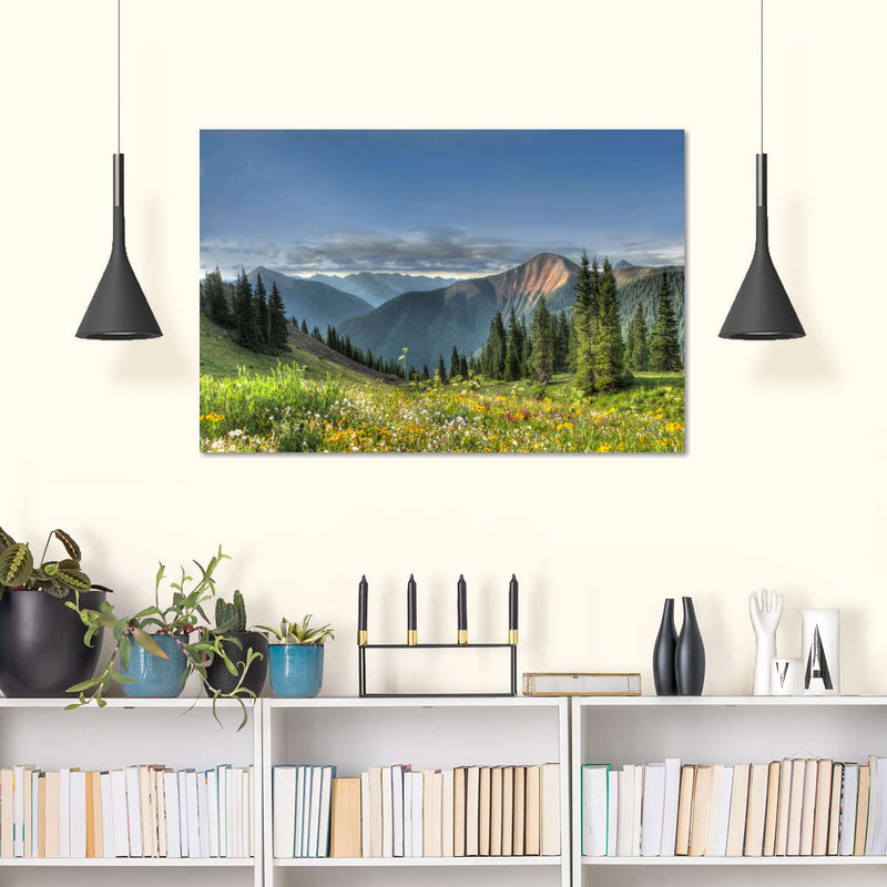 Rocky Mountain National Park Meadow Wall Art