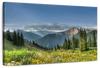 Rocky Mountain National Park Meadow Wall Art