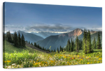 Rocky Mountain National Park Meadow Wall Art