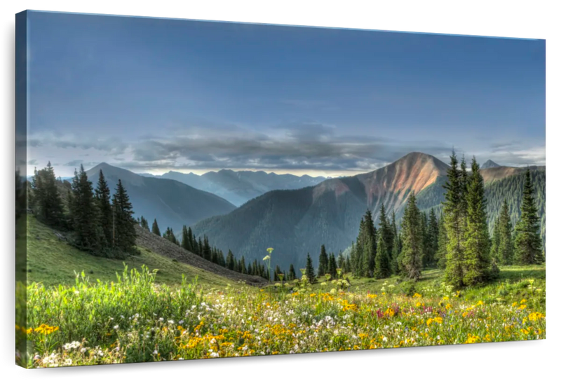 Rocky Mountain National Park Meadow Wall Art