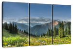 Rocky Mountain National Park Meadow Wall Art