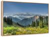 Rocky Mountain National Park Meadow Wall Art