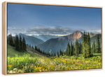 Rocky Mountain National Park Meadow Wall Art