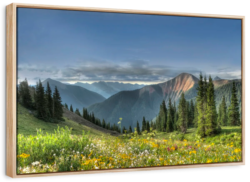 Rocky Mountain National Park Meadow Wall Art