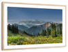Rocky Mountain National Park Meadow Wall Art