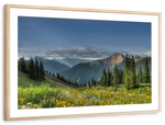 Rocky Mountain National Park Meadow Wall Art