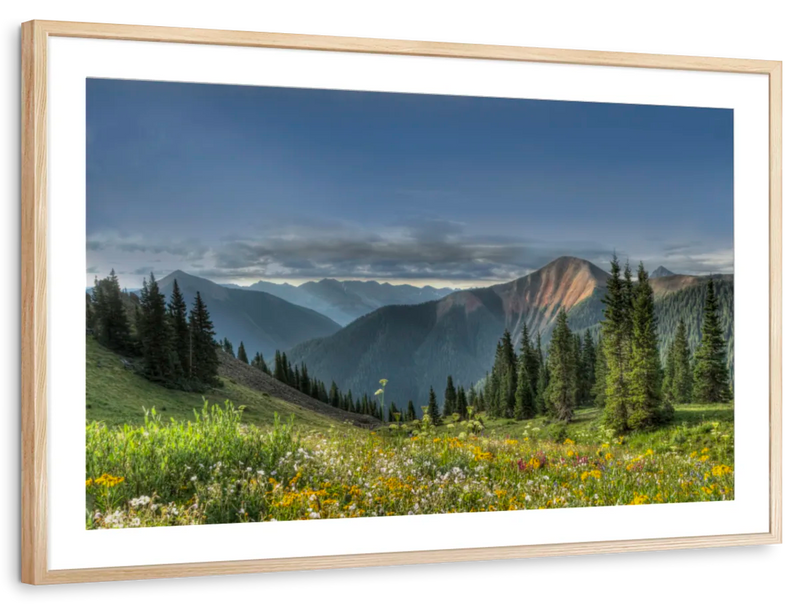 Rocky Mountain National Park Meadow Wall Art