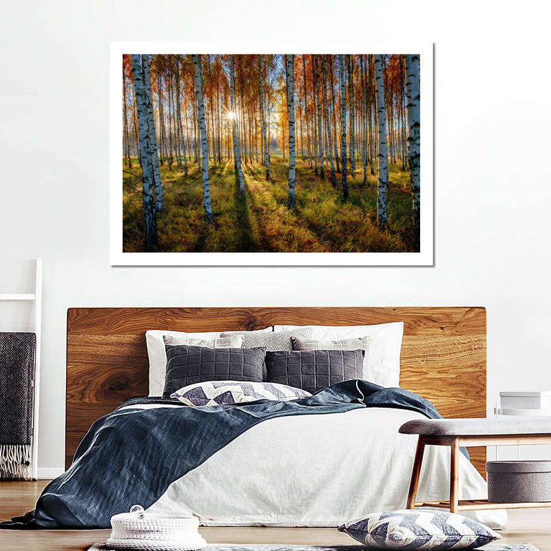 Swedish Birch Forest Wall Art