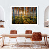 Swedish Birch Forest Wall Art