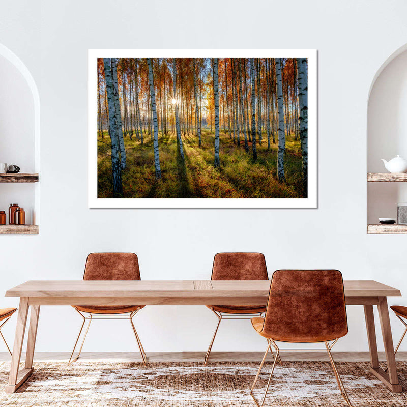 Swedish Birch Forest Wall Art