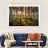Swedish Birch Forest Wall Art