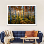 Swedish Birch Forest Wall Art