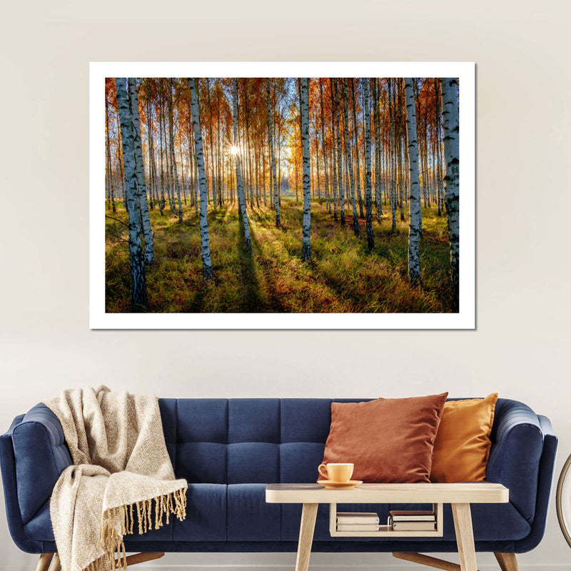 Swedish Birch Forest Wall Art