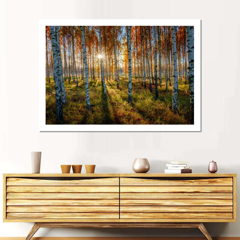 Swedish Birch Forest Wall Art