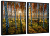 Swedish Birch Forest Wall Art