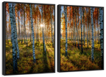 Swedish Birch Forest Wall Art