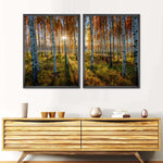 Swedish Birch Forest Wall Art