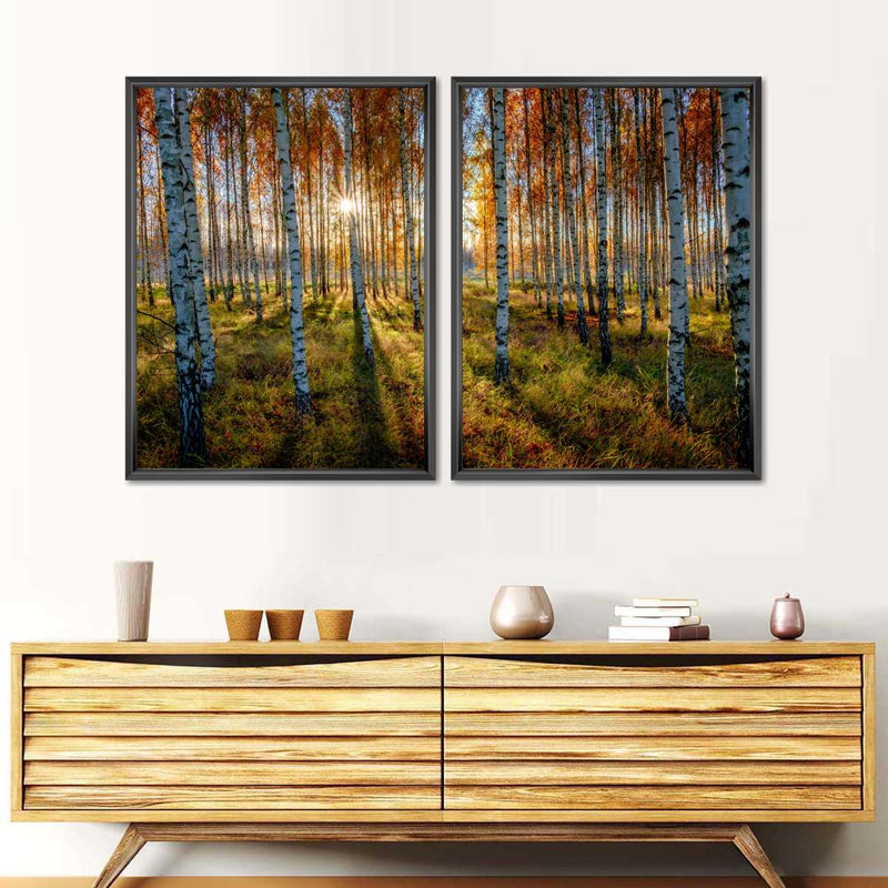 Swedish Birch Forest Wall Art