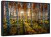 Swedish Birch Forest Wall Art