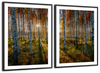 Swedish Birch Forest Wall Art