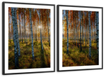 Swedish Birch Forest Wall Art