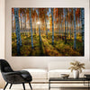 Swedish Birch Forest Wall Art