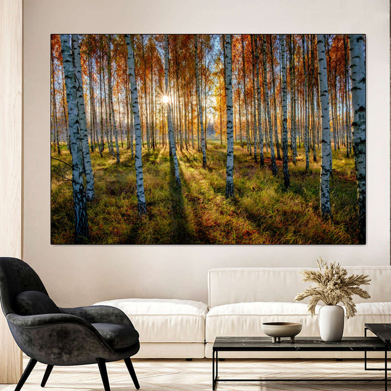 Swedish Birch Forest Wall Art