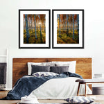 Swedish Birch Forest Wall Art