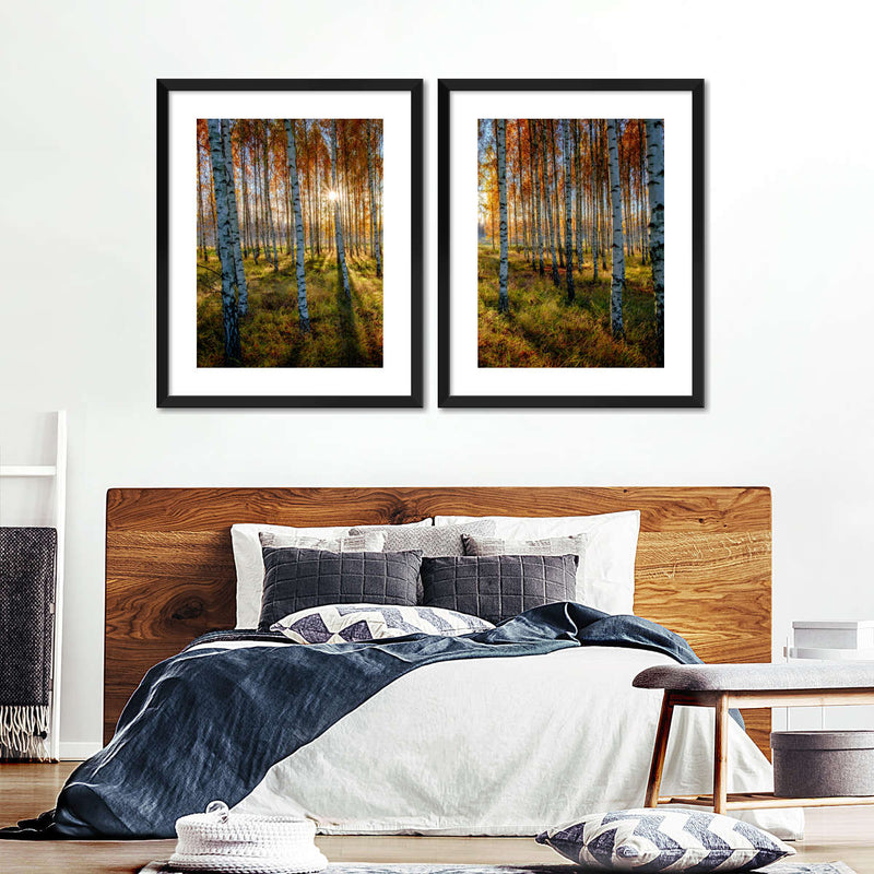 Swedish Birch Forest Wall Art