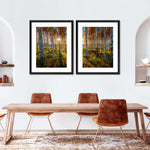 Swedish Birch Forest Wall Art